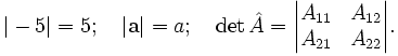 |-5|=5; \quad |\mathbf{a}|=a; \quad \det\hat{A} = \begin{vmatrix} A_{11} & A_{12}  \\ A_{21} & A_{22} \end{vmatrix}.